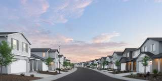 Vera at Fiddyment Gallery 1