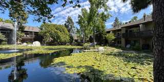 Live at The Lakes! Gallery 14