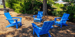 Bexley Square at Concord Mills Gallery 15