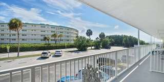 Dolphin Beach Gallery 23