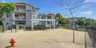 The Tradition Gallery 9