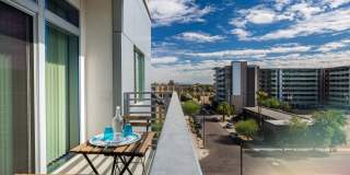 Linear Gallery 20