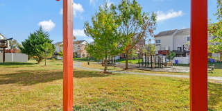 11497 SCOTCH HILLS Place Gallery 20