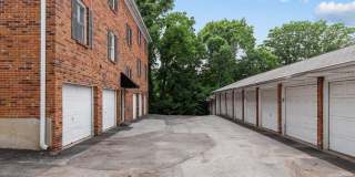Anic Orchard Gallery 18
