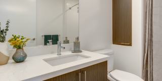 The Merian Gallery 59