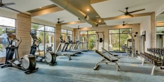 Vintage Amelia Island Apartments Gallery 16