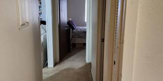 2 Bedroom 1 Bathroom Apartment Gallery 11