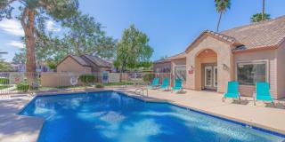 Morrison in Mesa Gallery 12