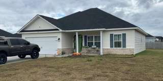 4bd/2ba HOME FOR RENT IN LUDOWICI! Gallery 1