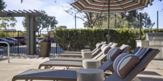 View at Marin Apartments Gallery 32