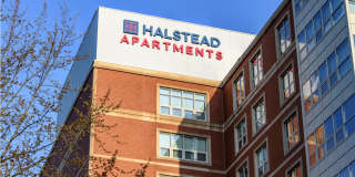 Halstead Burlington Gallery 32