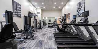 Emerald Palms Gallery 15