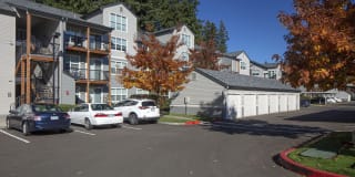 Jory Trail at the Grove Gallery 20