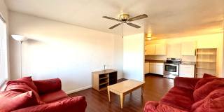 1 and 2 Bedrooms Great Location with Community Pool and Onsite Laundry! 1/2 of Mile from U of A Gallery 9