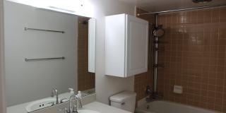 4190 Packard Road Gallery 14