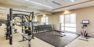 The Victor by Windsor Gallery 25