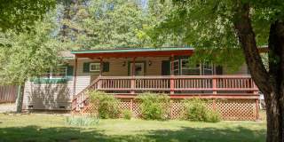 Your Peaceful Retreat in the Pines Gallery 1