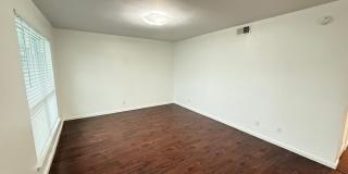 River Oaks Gallery 44