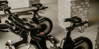 The Taylor Gallery 49