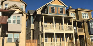 1902 Shasta Ln93 1902 Shasta Ln93 Gallery 24