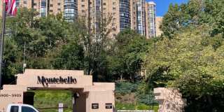 5904 MOUNT EAGLE DR #1609 Gallery 54