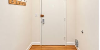 Bright, Refreshed 2-Bedroom in Mount Pleasant | Walk Score of 96 Gallery 1
