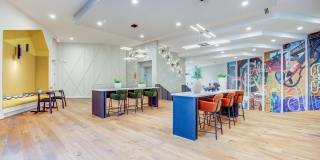 Korina and Alder at The Grove Korina and Alder at The Grove Gallery 32