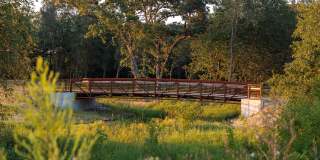 Olive Lane Townhomes Gallery 15