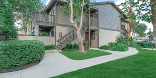 Pinecrest Apartment Homes Gallery 6