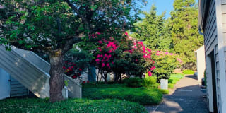 985 Lewis Avenue #7 Gallery 6