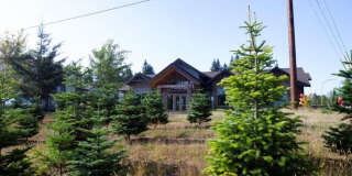 2 Bedroom 1 Bath 957 sq ft Gallery 77