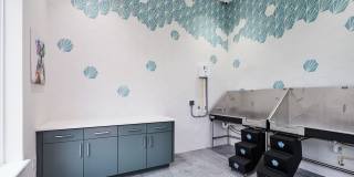 Mason Stuart Gallery 31