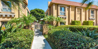 Elan The Palms Gallery 12