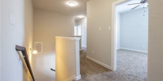 561 CREEKSIDE Forest Gallery 13