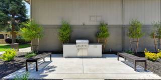 Chardonnay Ridge Gallery 18