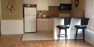 Willows on France Gallery 47