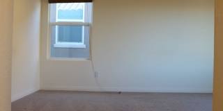 SHOWINGS AVAILABLE NOW Gallery 33