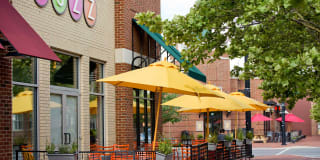 The Frasier Gallery 35