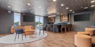 Legacy at Fitz Gallery 14