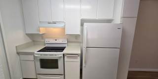 Beautifully Renovated Ground-Floor 2 Bedroom – Over 900 Sq. Ft.! Gallery 6