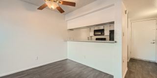 Rise Dobson Ranch Gallery 26