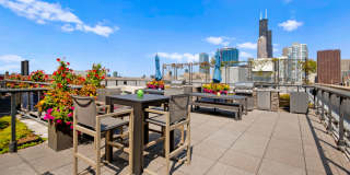 Roosevelt Collection Lofts Gallery 7