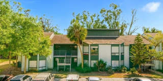 2604 LEMON TREE LANE Gallery 1