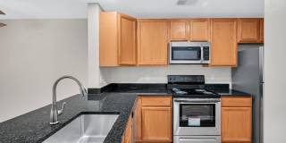 Stuart Hill Gallery 1