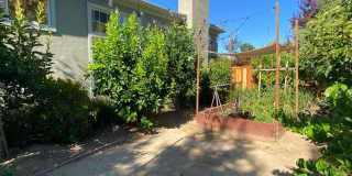 Gorgeous Country Estates 4BR 3.5BA Home in Almaden Gallery 26