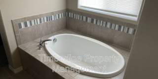 4370 Prairie Agate Dr. Gallery 18