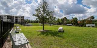 The Ellington at Oviedo Park Gallery 79