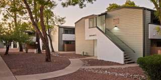 Brookwood Gallery 34