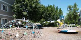 Altoona Towers Gallery 42