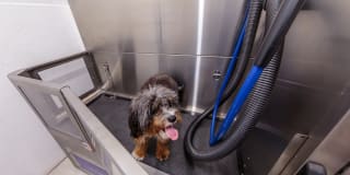 Grand Station Grand Station Gallery 19